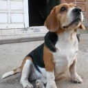 สมาชิกหมายเลข 2422159