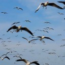 สมาชิกหมายเลข 3542758