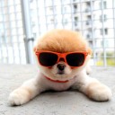 สมาชิกหมายเลข 1470521