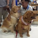 สมาชิกหมายเลข 1900481