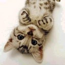 สมาชิกหมายเลข 2300634