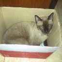 สุรวงศ์