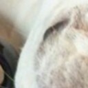 สมาชิกหมายเลข 1900972