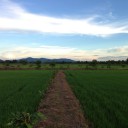 สมาชิกหมายเลข 2249396