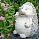 สมาชิกหมายเลข 1065771