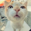 สมาชิกหมายเลข 1061998