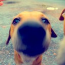 สมาชิกหมายเลข 1574581