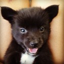 สมาชิกหมายเลข 1689114