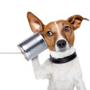 มัสมั่นแกงแก้วตา