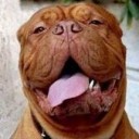 พาดกลอนนอนกิน