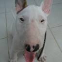 สมาชิกหมายเลข 1062203