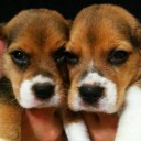 สมาชิกหมายเลข 1471519