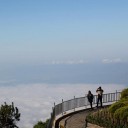 สมาชิกหมายเลข 1889876