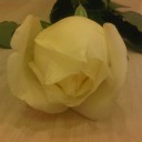 สมาชิกหมายเลข 2302161