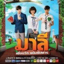 สมาชิกหมายเลข 2536570