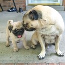 สมาชิกหมายเลข 2694006