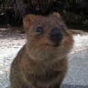 สมาชิกหมายเลข 770843