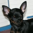 เด็กน้อยร่มชมพู-ฟ้า