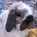 หมวยสลัม