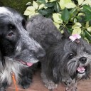 แม่ข้าวตู