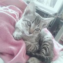 สมาชิกหมายเลข 1901892