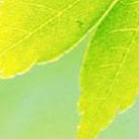 สมาชิกหมายเลข 2694366