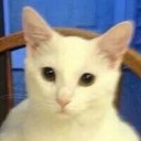 สมาชิกหมายเลข 3509761