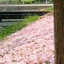 สมาชิกหมายเลข 1063210