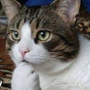 สมาชิกหมายเลข 1233571