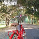 สมาชิกหมายเลข 2302797