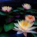 สมาชิกหมายเลข 2302882