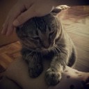 สมาชิกหมายเลข 2323813