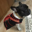 ไข่ตุ๋นหมูสับ