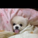 สมาชิกหมายเลข 3579933