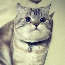 สมาชิกหมายเลข 819626