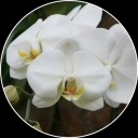 สมาชิกหมายเลข 1899024