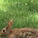 สมาชิกหมายเลข 833621