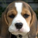 สมาชิกหมายเลข 1008899