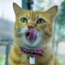 ฌ เฌอคู่กัน