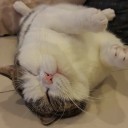 สมาชิกหมายเลข 2303963