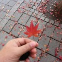 สมาชิกหมายเลข 3541242