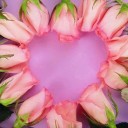 สมาชิกหมายเลข 729134