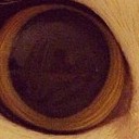 สมาชิกหมายเลข 1474267