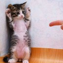 ขวาเมาส์ซ้ายเขย่า