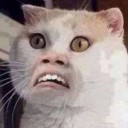 สมาชิกหมายเลข 1904019