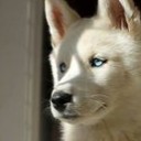 สมาชิกหมายเลข 2304364