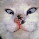 ตัวจริงสวยกว่าในรูป