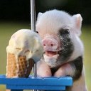 สมาชิกหมายเลข 2696404