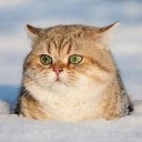 สมาชิกหมายเลข 1204633