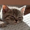 สมาชิกหมายเลข 1470212